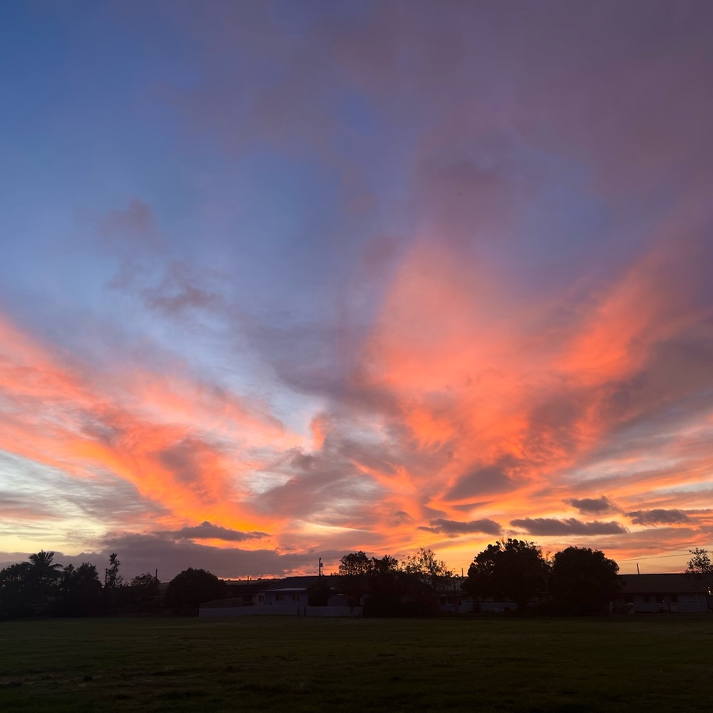 Interested in vintage and modern aloha wear